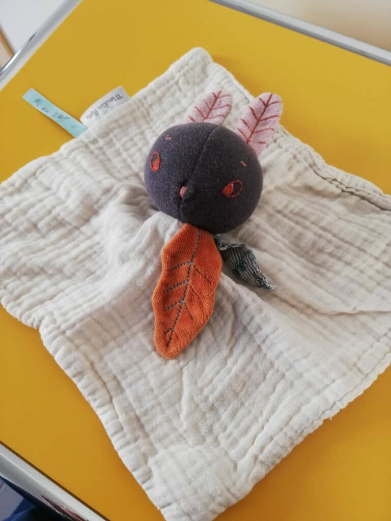 doudou trouvé place st melaine